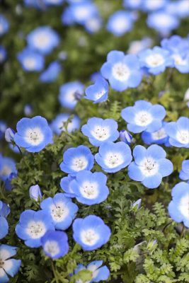 写真 2026-01-29 16 17 28_R_1