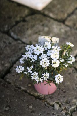 写真 2026-01-28 16 57 16_R_1