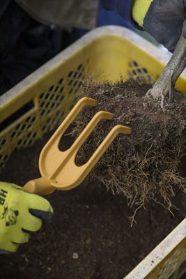 写真 2026-01-19 16 18 09_R_1