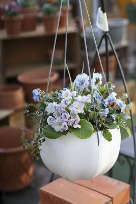 写真 2026-01-22 16 04 56_R_1