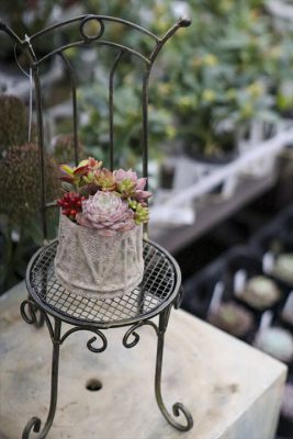 写真 2026-01-29 16 30 31_R_1