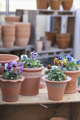 写真 2026-01-22 16 00 12_R_1