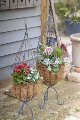 写真 2026-01-29 16 25 07_R_1