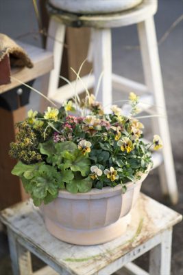 写真 2026-01-17 16 24 14_R_1