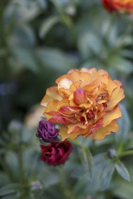 写真 2026-01-07 16 54 50_R_1