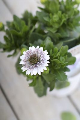 写真 2026-01-17 16 17 13_R_1