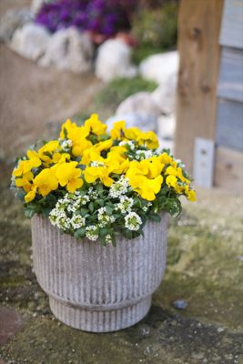 写真 2026-01-04 16 48 35_R_1