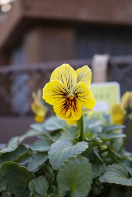 写真 2025-12-28 16 19 06_R_1