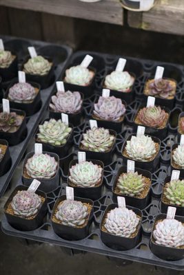 写真 2026-01-29 16 29 51_R_1