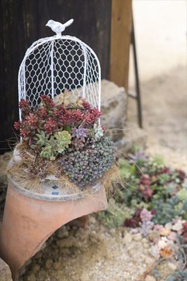 写真 2026-01-29 16 26 27_R_1