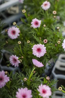 写真 2026-01-28 16 49 23_R_1