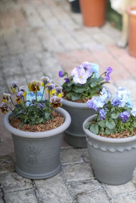 写真 2026-01-22 15 59 41_R_1