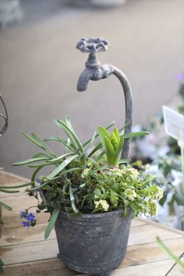 写真 2026-01-17 16 11 44_R_1