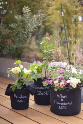 写真 2026-01-12 11 49 41_R_1