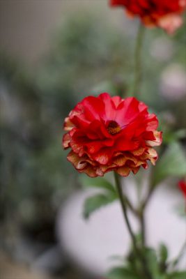 写真 2026-01-12 14 24 06_R_1