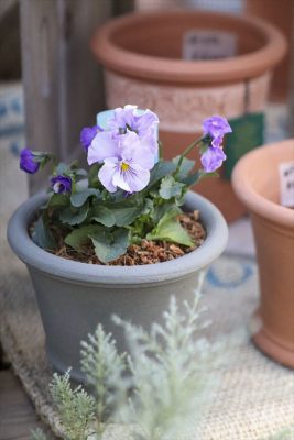 写真 2026-01-22 16 02 15_R_1