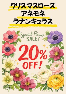 人気のお花3種類