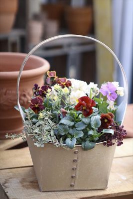 写真 2026-01-27 15 05 36_R_1