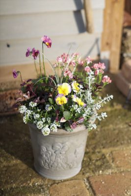 写真 2025-12-31 9 19 45_R_1