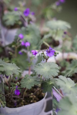 写真 2026-01-21 17 07 37_R_1