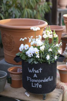 写真 2026-01-18 16 27 15_R_1