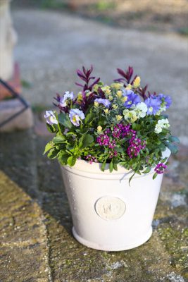 写真 2026-01-03 16 04 07_R_1