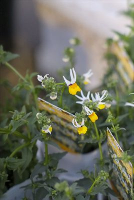 写真 2026-01-28 16 50 04_R_1