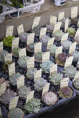 写真 2026-01-29 16 31 38_R_1