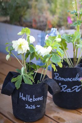 写真 2026-01-12 16 43 10_R_1