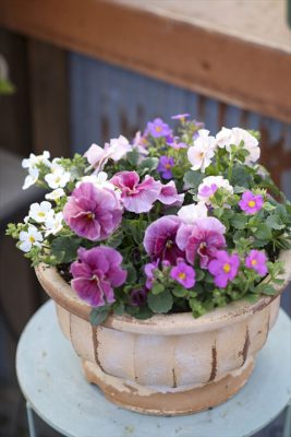 写真 2026-01-17 16 26 14_R_1