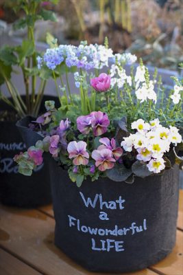 写真 2026-01-12 16 42 57_R_1