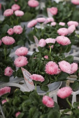 写真 2026-01-21 17 08 59_R_1