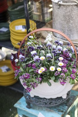 写真 2026-01-22 16 02 55_R_1