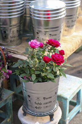 写真 2026-01-24 16 28 17_R_1