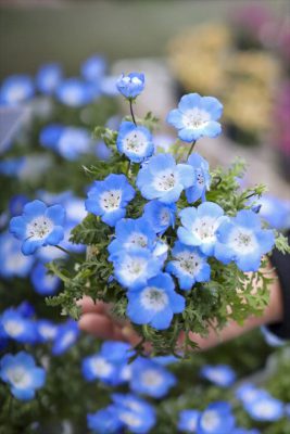 写真 2026-01-29 16 18 17_R_1