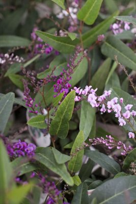 写真 2026-01-21 17 00 13_R_1