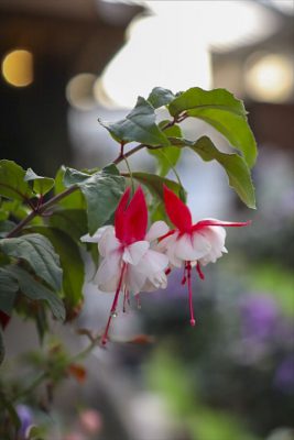 写真 2026-01-20 16 20 53_R_1