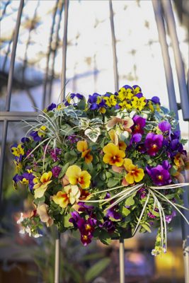 写真 2026-01-31 16 40 03_R_1