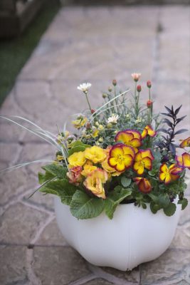 写真 2026-01-22 16 05 48_R_1