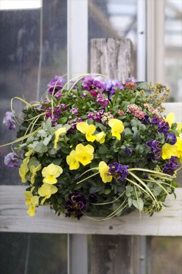 写真 2026-01-19 16 24 57_R_1