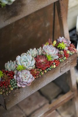 写真 2026-01-29 16 33 48_R_1