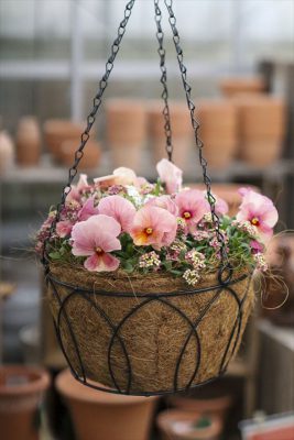 写真 2026-01-20 16 22 50_R_1