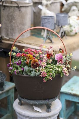 写真 2026-01-20 16 28 50_R_1