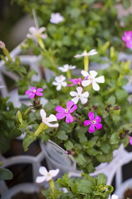 写真 2026-02-18 15 53 33_R_1