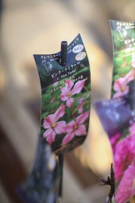 写真 2026-02-12 10 41 49_R_1