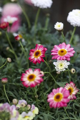 写真 2026-02-24 17 02 33_R_1