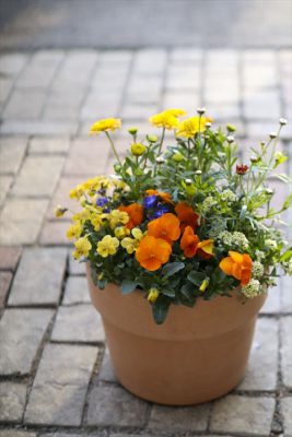 写真 2026-02-18 16 02 41_R_1