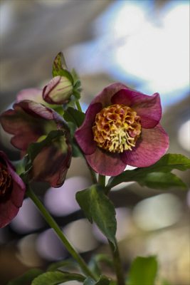 写真 2026-02-23 16 54 03_R_1