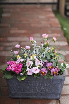 写真 2026-02-16 8 07 45_R_1