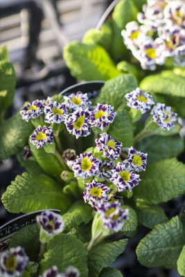 写真 2026-02-18 16 05 23_R_1